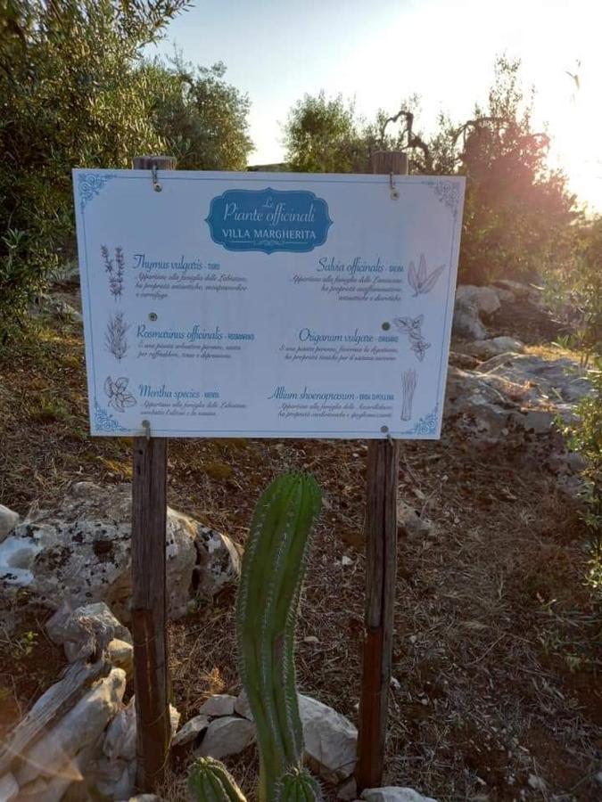 Le Capanne Di Villa Margherita Sonnino Extérieur photo