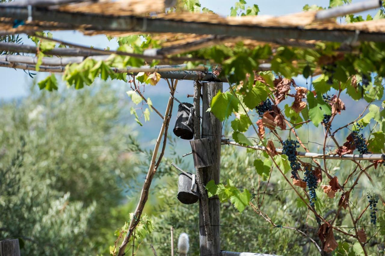 Le Capanne Di Villa Margherita Sonnino Extérieur photo